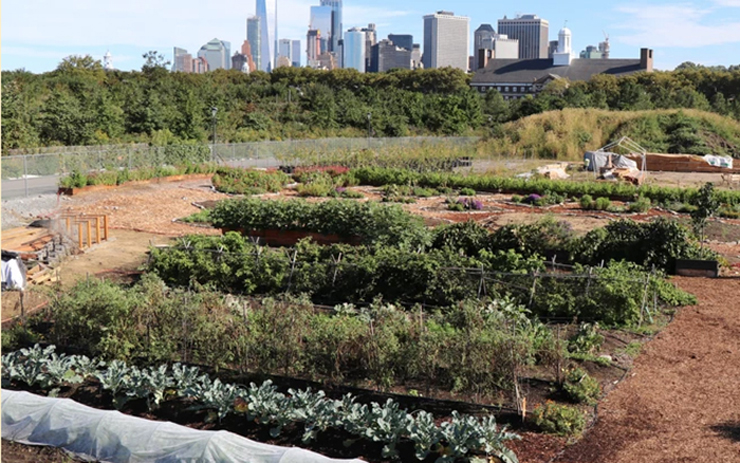 Photo: GrowNYC